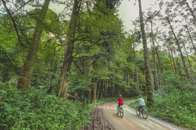 Leichte 10 km mountainbike-tour in monte verde mit lokalem guide, profi-fotograf und 4x4 begleitung. abfahrten morgens oder nachmittags. jetzt dein abenteuer buchen!