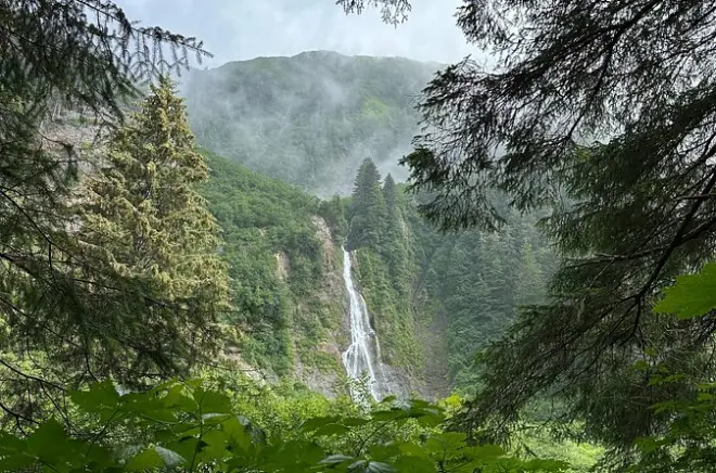 Randonnée guidée sur les sentiers Tongass à Sitka, Alaska