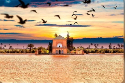 Entdecke marrakeschs paläste, gärten & den lebhaften jemaa el-fna bei einer privaten tour mit mehrsprachigem fahrer. inklusive hotelabholung, wlan, wasser & flexiblen stopps.