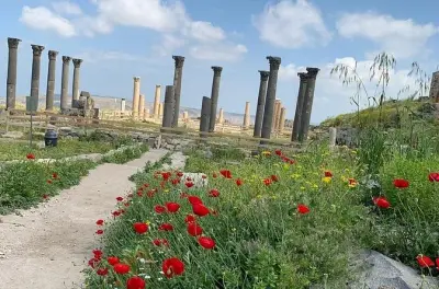 Umm Qais, Jerash e castelo de Ajloun: Tour de um dia saindo de Amman