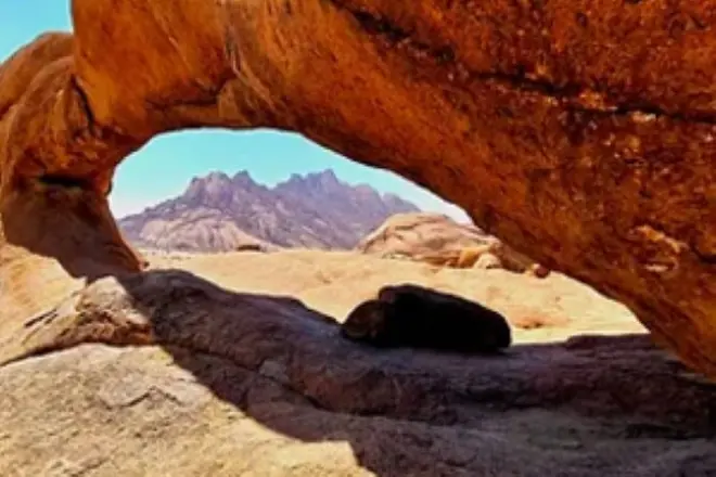 Spitzkoppe depuis Swakopmund : Peintures rupestres bushman