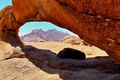 Spitzkoppe depuis Swakopmund : Peintures rupestres bushman