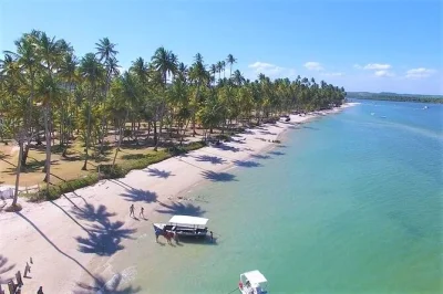 Privater transfer vom flughafen recife zur praia dos carneiros buchen. genieße eine entspannte fahrt, insider-tipps und einfachen zugang zu pernambucos schönsten stränden.