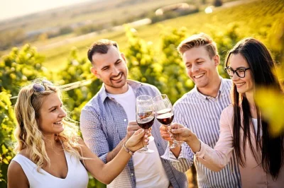Savor world-class wines across casablanca valley’s top vineyards, taste organic blends, and enjoy a relaxed lunch at tanino. includes pickup & local guides.