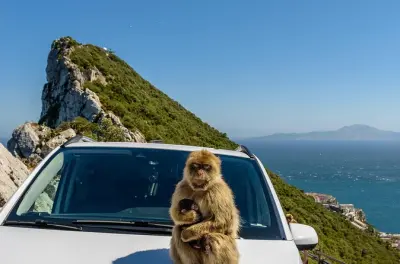 Gibraltar journée complète : Rocher, grottes et singes
