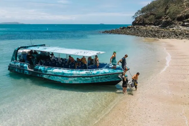 Snorkel en las islas Keppel desde Yeppoon: Arrecifes y tortugas