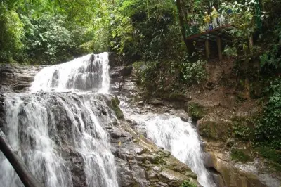 Passeio pela floresta Veragua e canal Tortuguero saindo de Limón