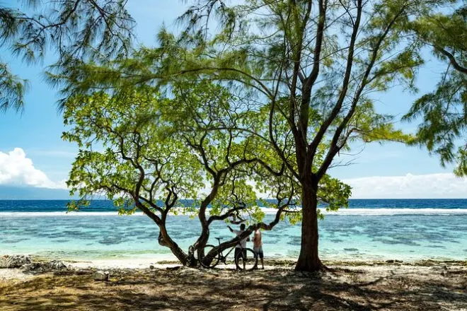 Lo más destacado de Mo'orea: Lagunas, bahías y sitios culturales