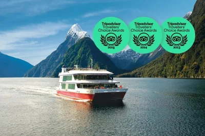 Scopri la natura selvaggia di milford sound con un tour in piccolo gruppo da queenstown, soste panoramiche, crociera esclusiva e pranzo al sacco incluso.