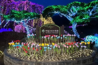 Entdecke die ruhigen alleen von nami island, schlendere durch den garden of morning calm und genieße koreanischen ginsengtee – inklusive hotelabholung und allen eintrittskarten.
