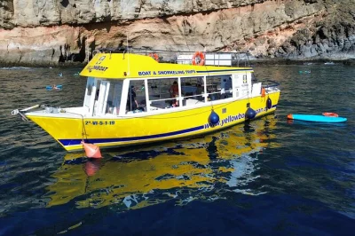 Feel the wild gran canaria coast on a puerto de mogan boat trip, snorkel at el perchel cove, enjoy canarian food, and relax with drinks—all with local guides.