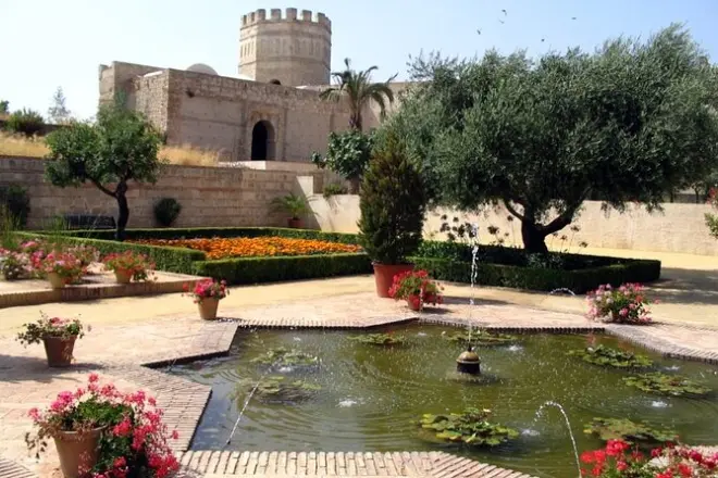 Jerez passeio a pé: Entrada no palácio Alcazar e na catedral