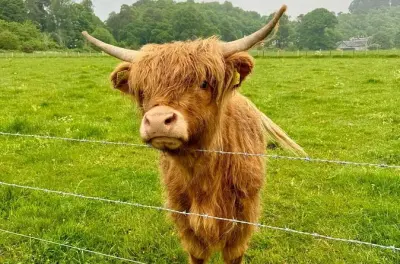 Loch Ness & Culloden tour from Inverness: Private Highland guide