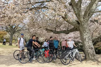 Nara Radtour: Wakakusayama Berg und Tempel im Wald
