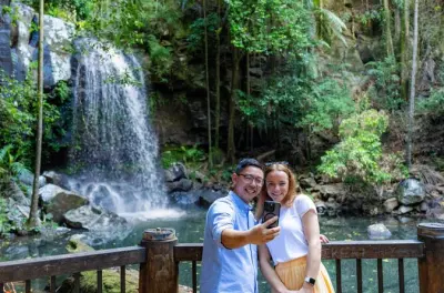 Tamborine Mountain Food & Wine Tour from Surfers Paradise