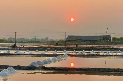 Kampot pepper farm, salt fields & limestone cave tour