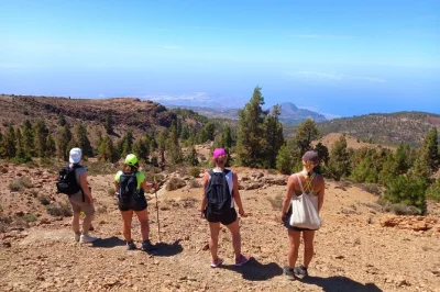 Entdecke teneriffas wilde natur bei einer geführten wanderung mit andy, inklusive privatem transport, spannenden geschichten zu vulkanen, geologie und dem leben vor ort. inkl. versicherung & flexible