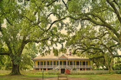Erlebe die geschichte bei whitney plantation, schlendere über das kreolische gelände von laura und bewundere die eichen von oak alley. kleine gruppe, hotelabholung, live-führung.