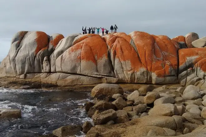 Tasmanie 7 jours : Cradle Mountain, baie des Feux, Port Arthur