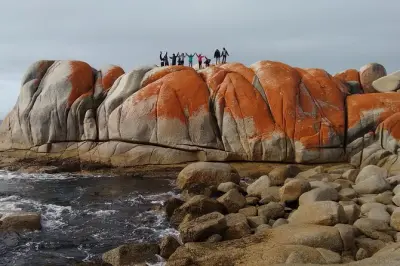 7-Day Tasmania Tour: Cradle Mountain, Bay of Fires & Port Arthur