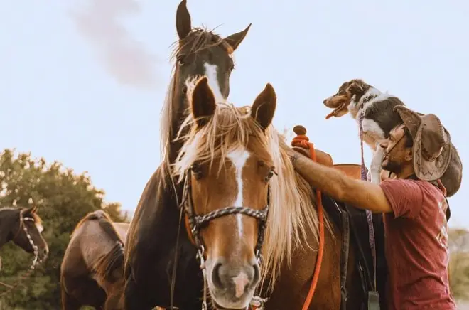 Horseback Riding in Urbino: River Crossing in Furlo Gorge