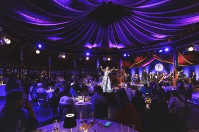 Step into vienna’s music scene at the strauss dinner show—live orchestra, ballet, and viennese cuisine in prater. includes entrance ticket and dinner options.
