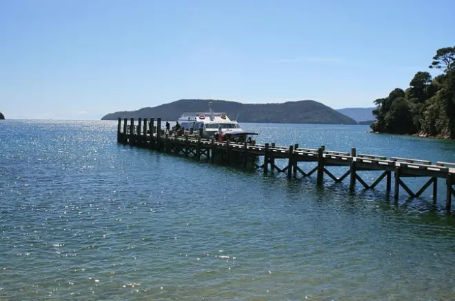 Marlborough Katamaranfahrt: Wein-Tour Queen Charlotte Sound