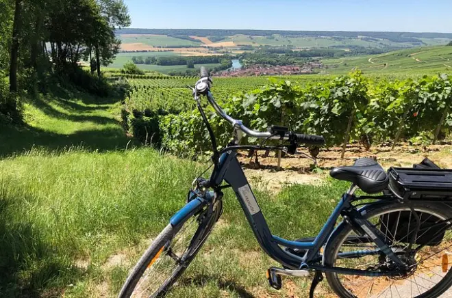 Epernay in e-bike: Villaggi dello Champagne e pranzo in cantina