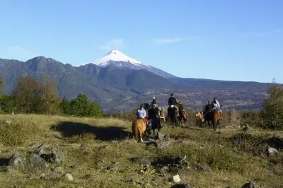 Horseback riding in Pucón: Learn to ride Criollo horses