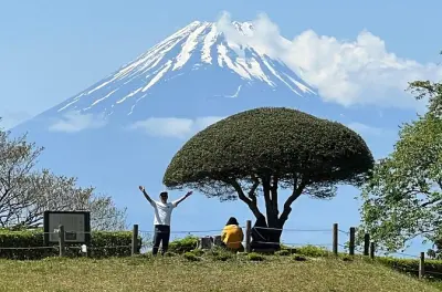 Hakone Hachiri Hike: Lake Ashi & Edo Heritage Path Tour
