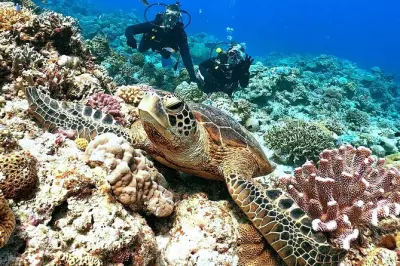 Snorkel en Naha: Islas Kerama con guía y traslado