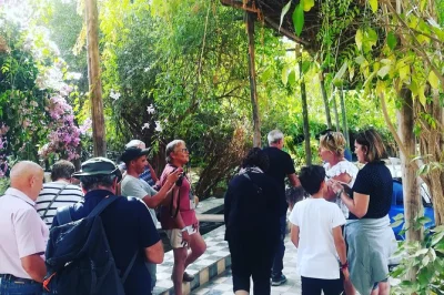 Experience a day trip from agadir to taroudant and tiout. explore the kasbah, palm groves, berber breakfast, and local moroccan cuisine. book now.