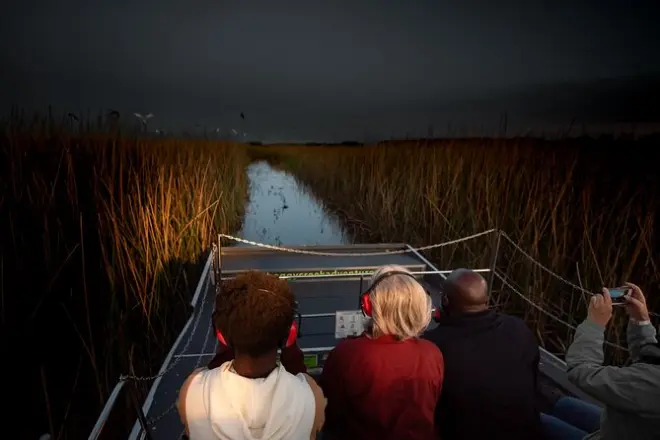 Everglades in airboat di notte: Scopri gli alligatori al buio