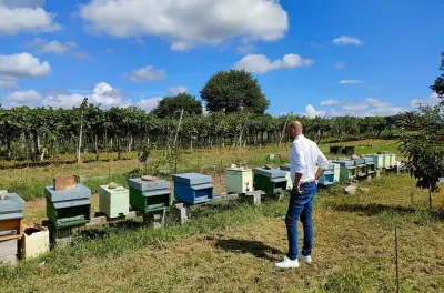 Imkerei-Besuch und Honigverkostung in Lazise