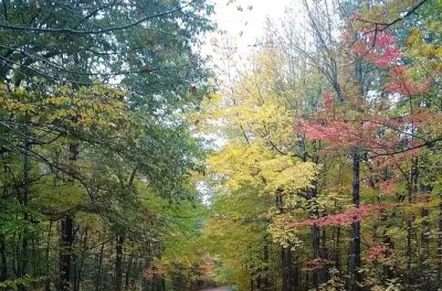 Acadia National Park Leaf Peeper Tour: Cadillac Sunrise