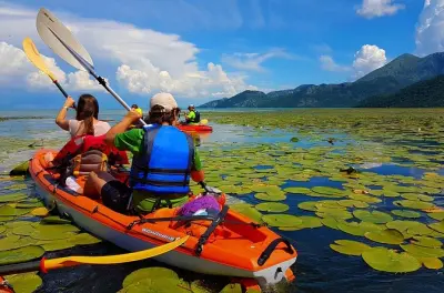 Kayak en lago Skadar: 4 horas remando por parque nacional