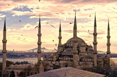Entdecke istanbul mit einem lokalen guide: hagia sophia, blaue moschee & hippodrom. kleine gruppen, tägliche touren. jetzt deinen platz für eine echte zeitreise sichern.