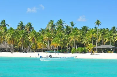 Explore a ilha saona saindo de juan dolio com passeio de speedboat, catamarã, almoço buffet e guia. mergulhe em piscinas naturais e aproveite praias de areia branca.
