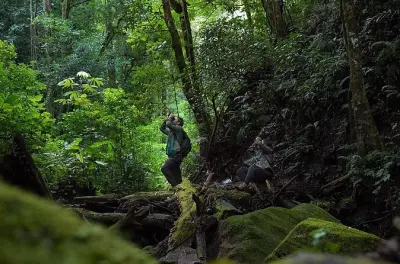 Monteverde Nebelwald geführte Wanderung ab San Jose