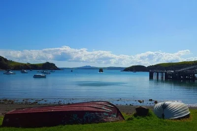 Explore os penhascos gêmeos de waiheke em uma caminhada guiada privada. inclui almoço, transfer de balsa e dicas locais. grupo pequeno, trilhas cênicas, reserve já.