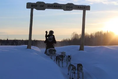 Vivez l’excitation de piloter votre attelage à talkeetna, rencontrez les huskies champions de l’iditarod, jouez avec les chiots et visitez un véritable chenil de course avec guide.