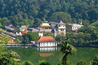 Private kandy day trip with sacred tooth relic temple, peradeniya botanic gardens, tea tasting, and local crafts. pickup from colombo & coastal hotels.