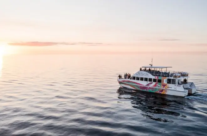 Twilight Cruise Hervey Bay: Sunset, Dolphins & Champagne
