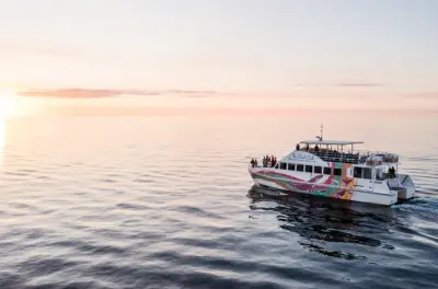 Twilight Cruise Hervey Bay: Sunset, Dolphins & Champagne