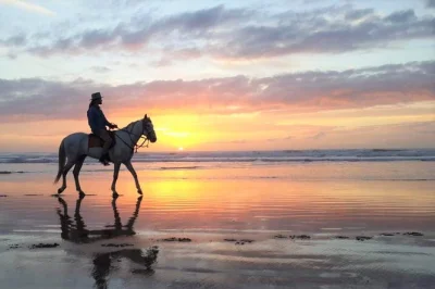 Siente la brisa salvaje de la costa de essaouira en un paseo a caballo al atardecer, entre dunas, bosques de eucaliptos y las ruinas del palacio del sultán. grupos pequeños o privados, con todo el e