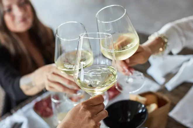 Wine Tour and Tasting near Sirmione: 4 Lugana wines