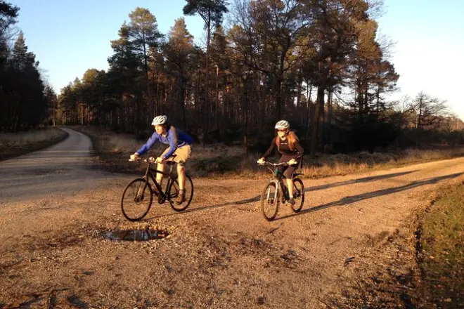 Atardecer en New Forest con paseo en bici para grupos pequeños