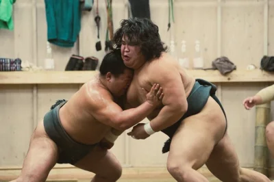 Plongez dans une écurie de sumo à tokyo pour un entraînement matinal, observez les lutteurs de près, écoutez les explications en direct de votre guide et prenez une photo avec un rikishi. entrée