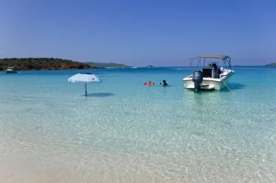 Swim, snorkel, and relax on a private boat tour to icacos or palomino islands from fajardo. includes snorkeling gear, snacks, drinks, and local captain.