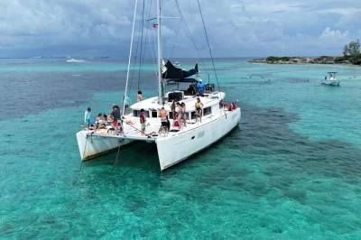 Swim with pigs at rose island, snorkel pearl island reefs, spot turtles by green cay. includes lunch onboard catamaran, drinks, gear, and local crew.